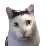 @Cookieheh29