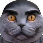 @ojoeldh