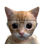 @Tomplay1512elpro