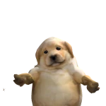 abby's avatar