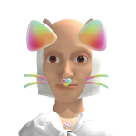 @s2fie