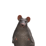 @rattixratz