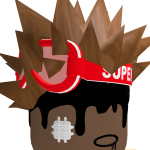 @zionbrice24211