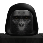 @mrblockisinroblox