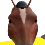 @Wild_Horses009