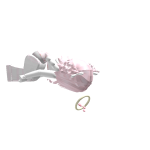 @brookeplayzroblox27