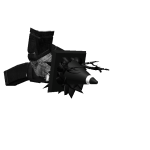@Tony13primo