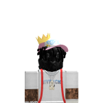 @CertifyedClipz