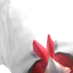 @chxrvrpp