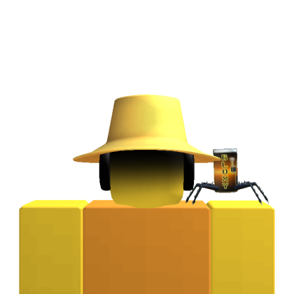 Roblox avatar
