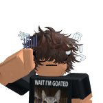 @voids1eh