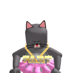 @Ilovecats111333