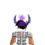 @RealWissers