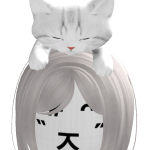 @vvgull