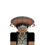 @awesomeracoon698