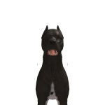 @filipko1110