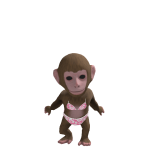 @Jink_zz