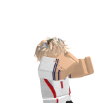 @robloxharry12341
