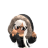 hilo_Quincy