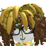 @mooscyth