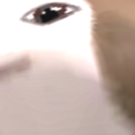 @JohnXekorGames