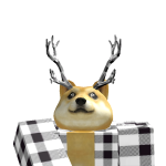 @DOGGOLORD546