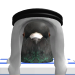 @SirMonRo