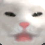 @wsdrg2