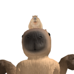 @LGRD71