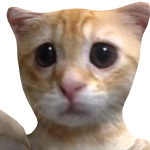 @Dunkinnn_123