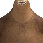 @RandThaGoat