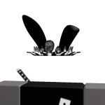 @huskqz