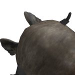 @NN_RBLX10