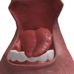 @iBIuez