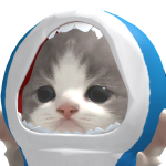@0sooho