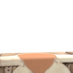 @patrol_scout
