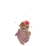 @foxsoqt