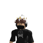 @HamsterDev32