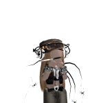 @Deeashow