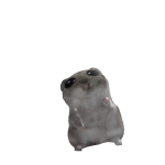 @hihjfud