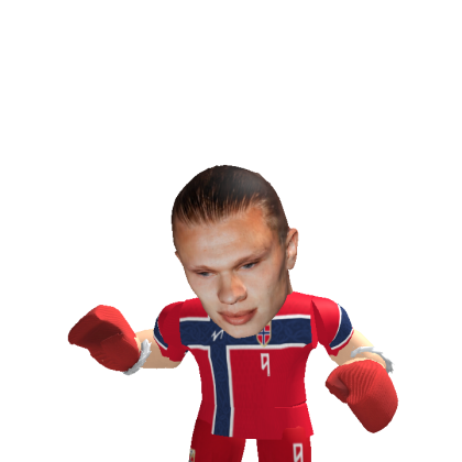 Roblox avatar