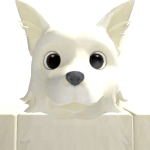 @DarkNight1754321