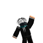 @Sonicer411