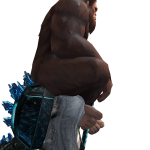@seerwbear