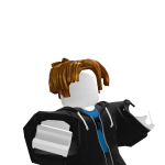 @KoopaTroopa207619pro