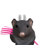 @catiiiii_mepa123
