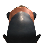 @Masongamer_123