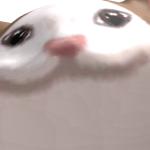 @mopmncd