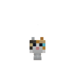 poo
