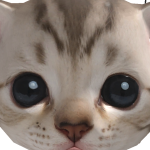 @leah_theboiii33